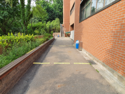 Main Library  left of the main entrance, rear entrance path