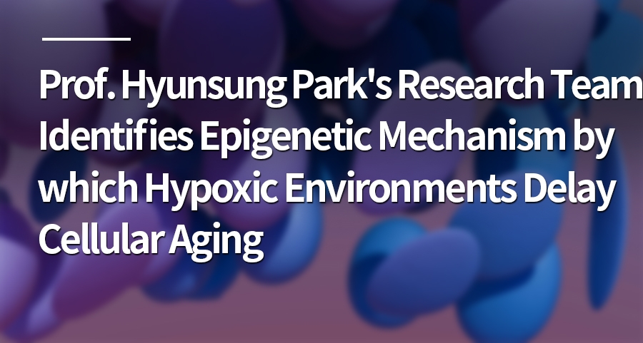 Professor Hyunsung Park's Research Team Identifies Epigenetic Mechanism by which Hypoxic Environments Delay Cellular Aging
